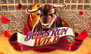 Hình ảnh Bulls Run Wild
